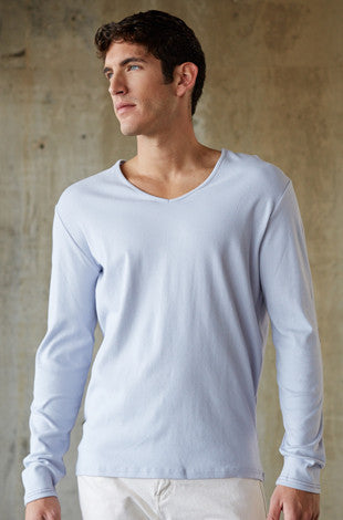 Arctic V