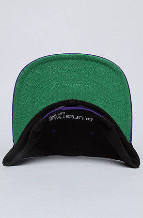 The Record Snap Back
